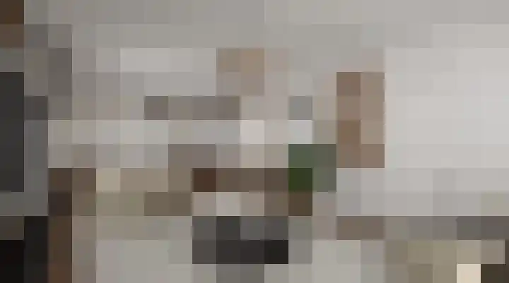 Hegewei 41 Opeinde thumbnail 10