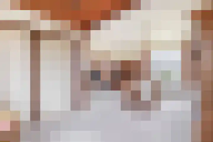 Hegewei 41 Opeinde thumbnail 16