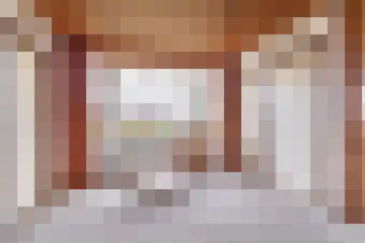 Hegewei 41 Opeinde thumbnail 17