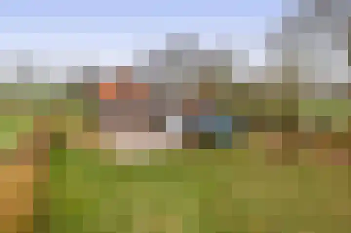 Hegewei 41 Opeinde thumbnail 37