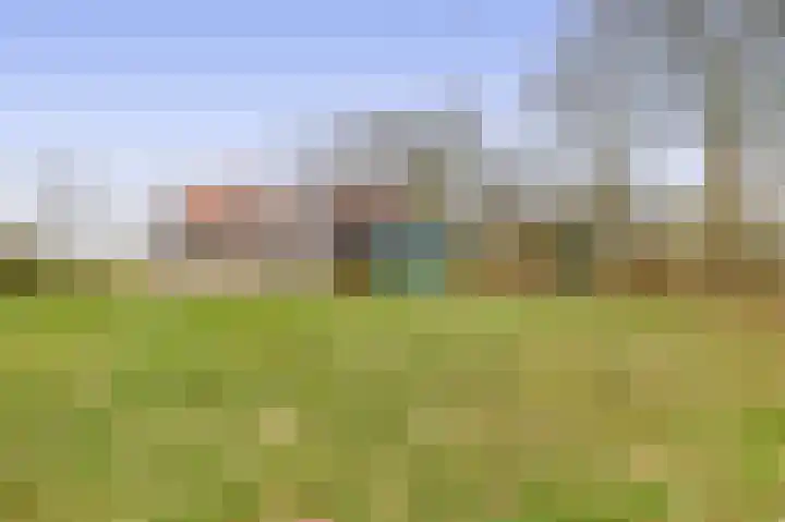 Hegewei 41 Opeinde thumbnail 39