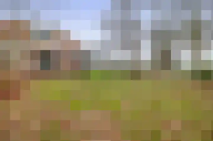 Hegewei 41 Opeinde thumbnail 41