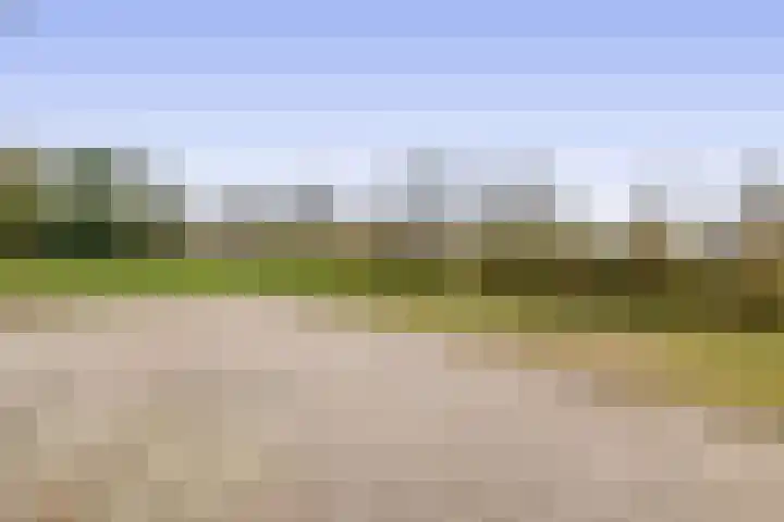 Hegewei 41 Opeinde thumbnail 42