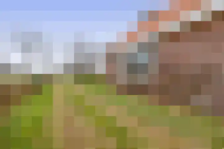 Hegewei 41 Opeinde thumbnail 43