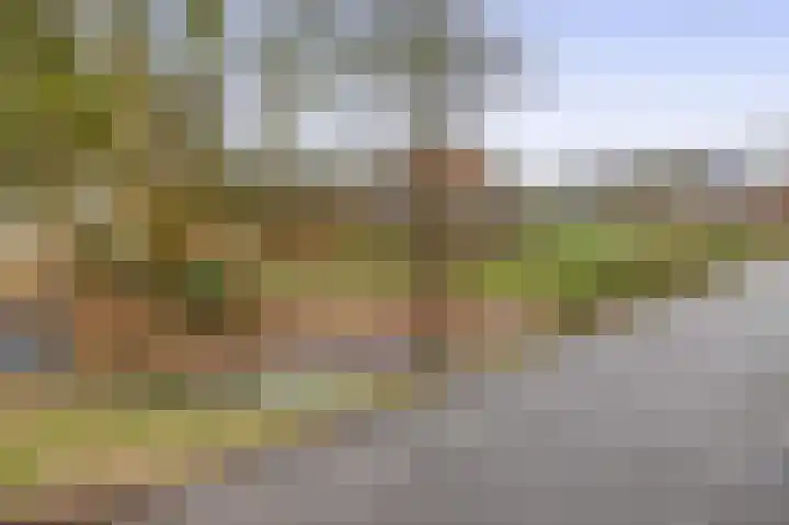 Hegewei 41 Opeinde thumbnail 45
