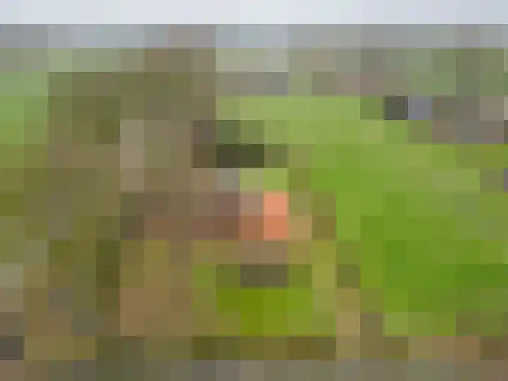 Hegewei 41 Opeinde thumbnail 47