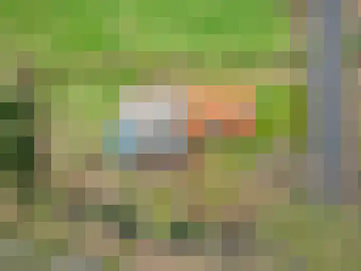 Hegewei 41 Opeinde thumbnail 48