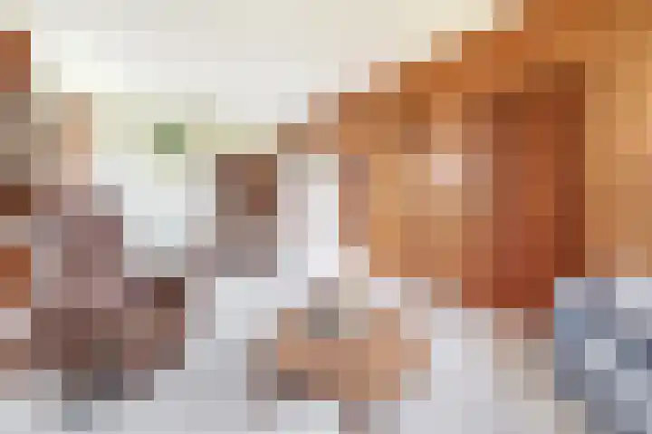 Hegewei 41 Opeinde thumbnail 9