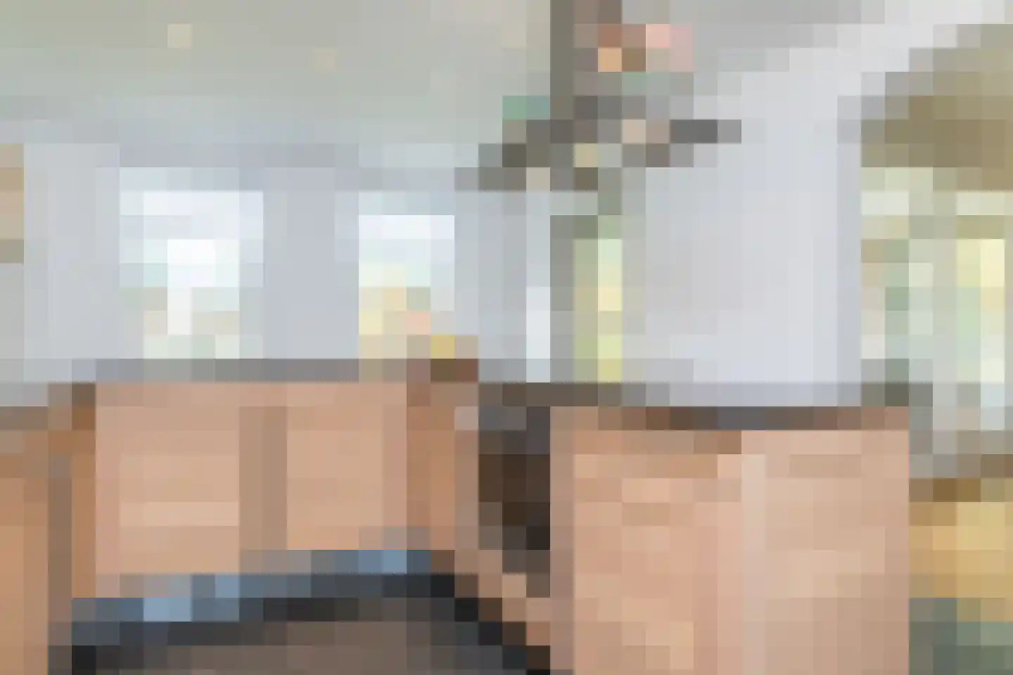 Hegge 13 Schinnen thumbnail 12