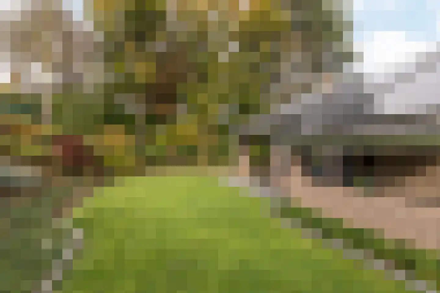 Hegge 13 Schinnen thumbnail 41