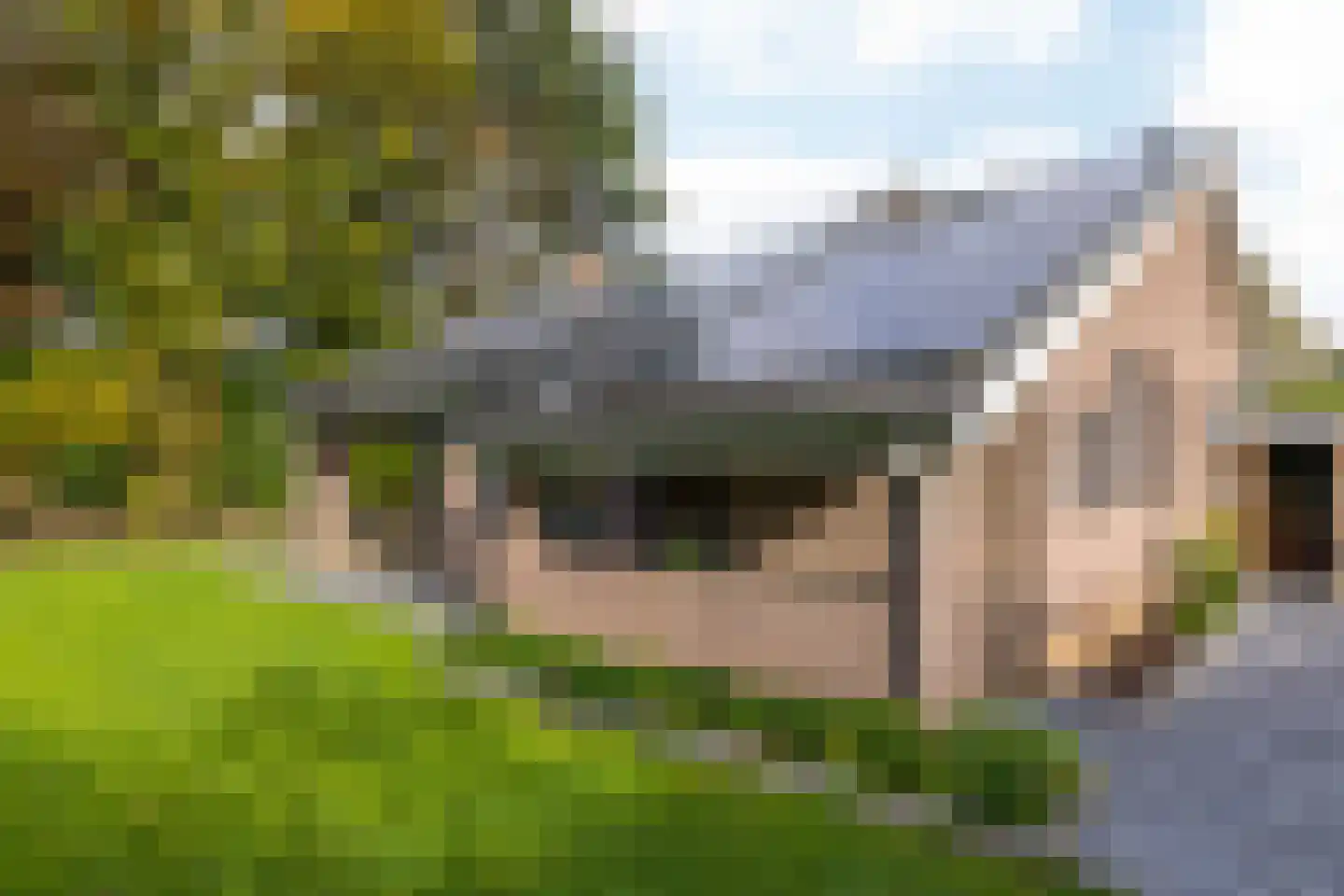 Hegge 13 Schinnen thumbnail 43