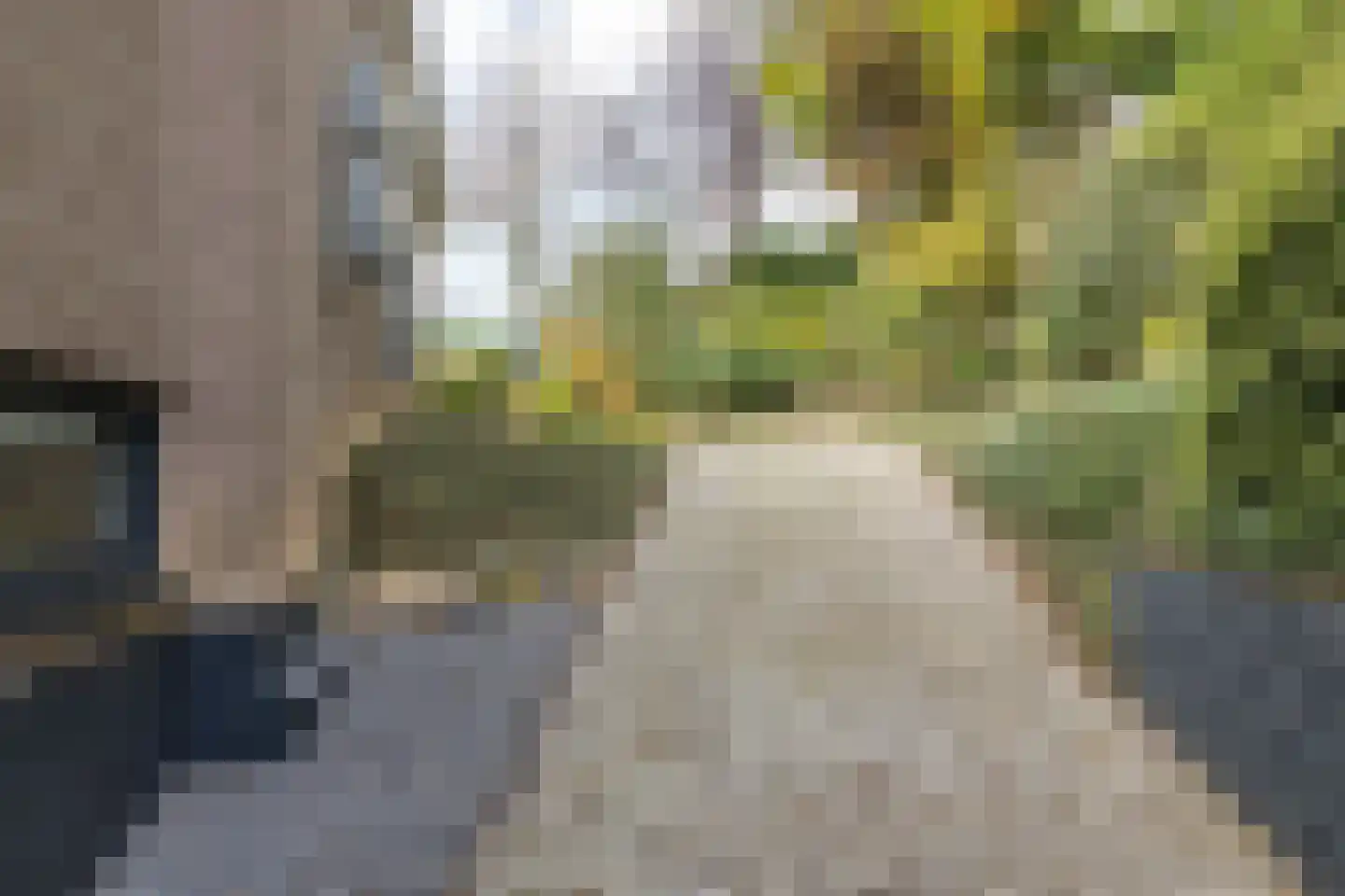 Hegge 13 Schinnen thumbnail 50