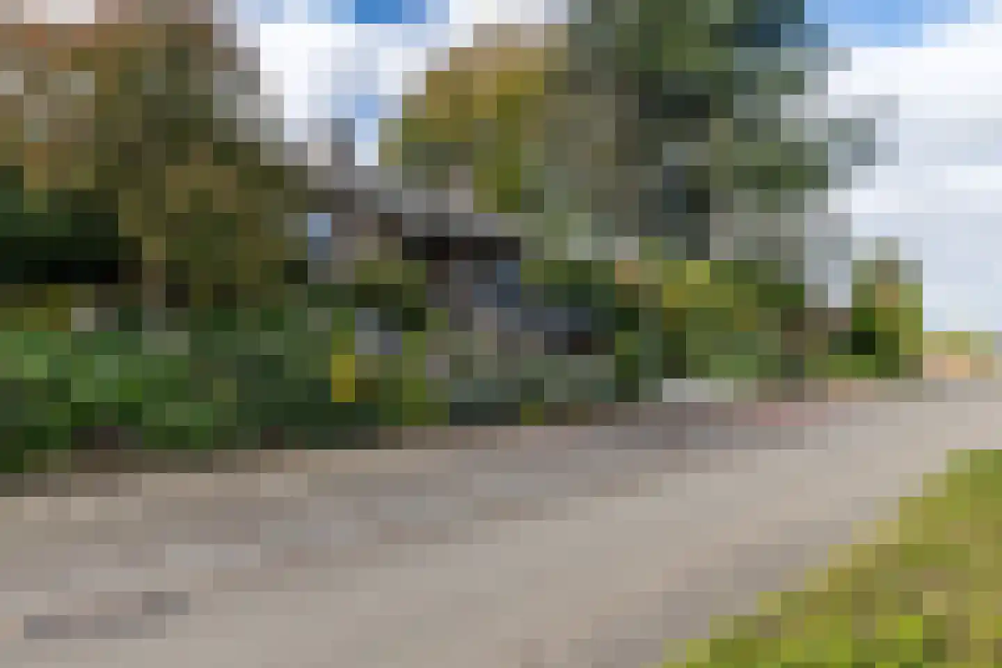 Hegge 13 Schinnen thumbnail 53