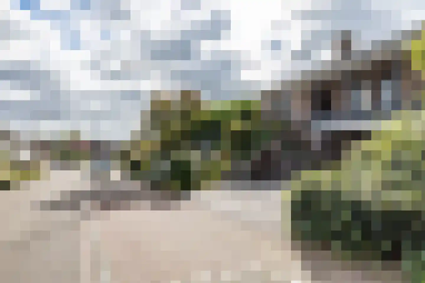 Hegge 13 Schinnen thumbnail 54