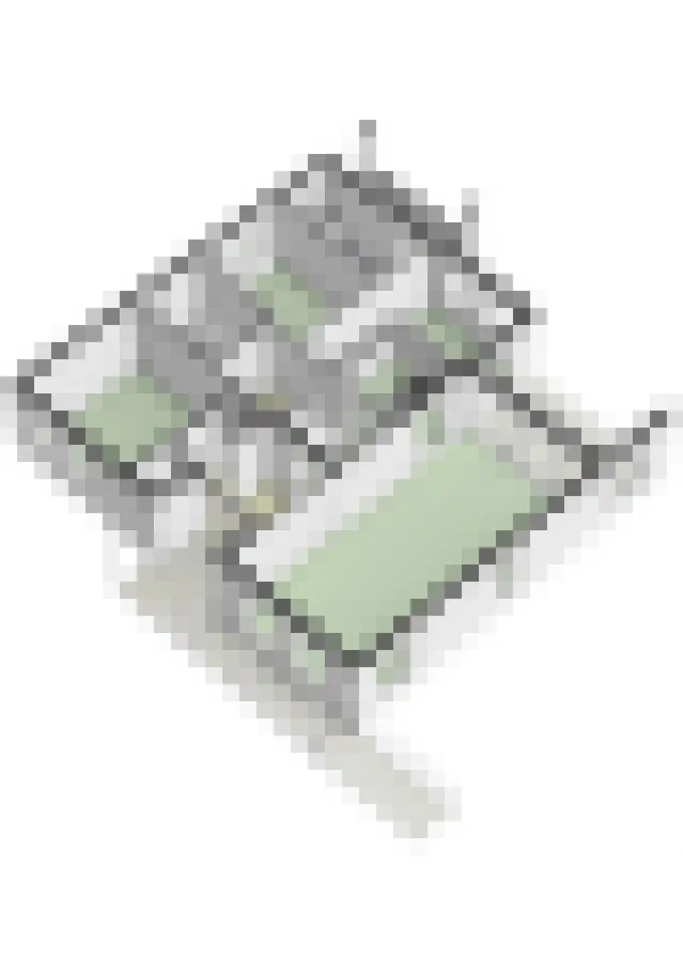 Hegge 13 Schinnen thumbnail 59
