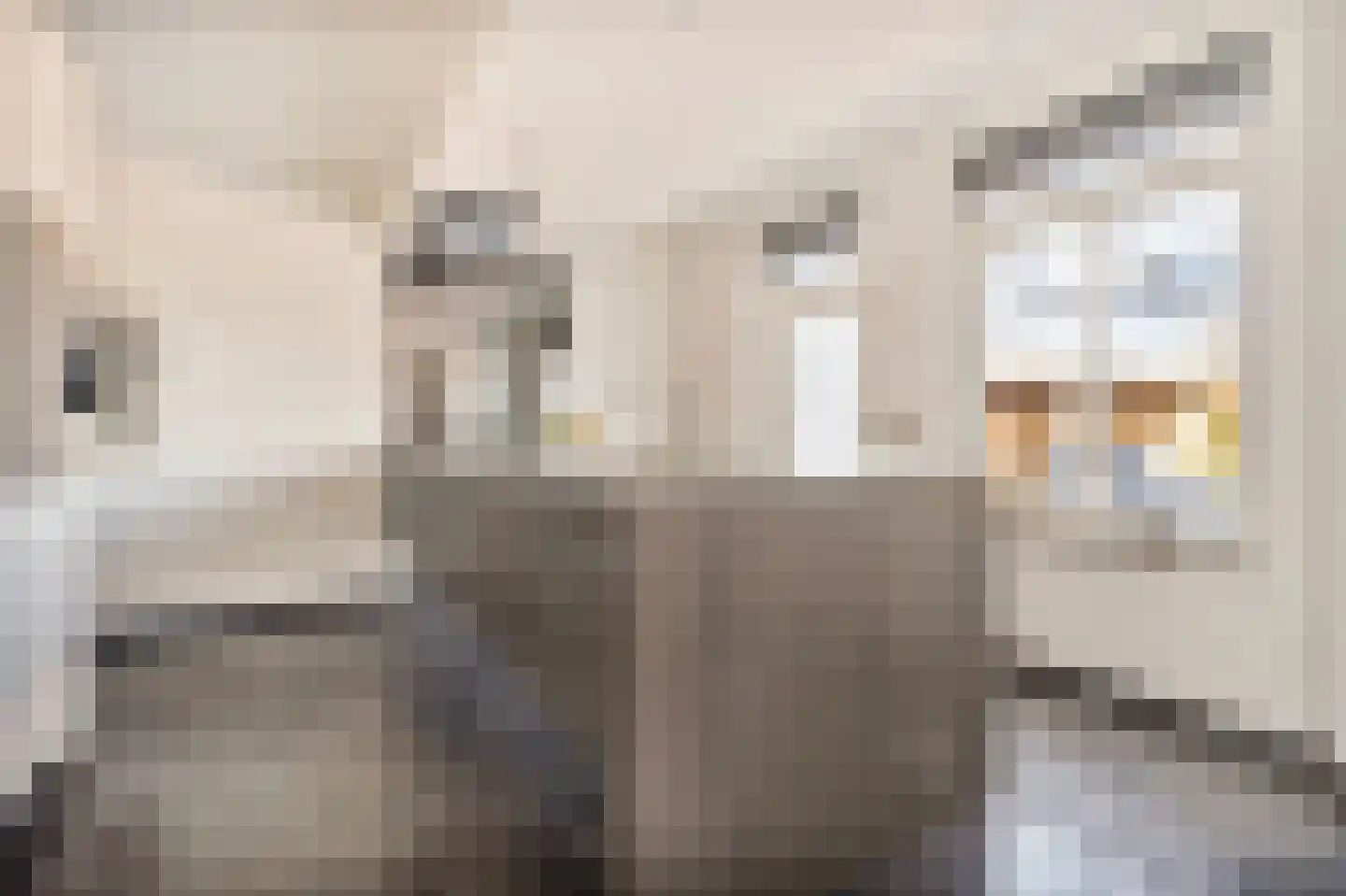 Hegge 138 Schinnen thumbnail 10