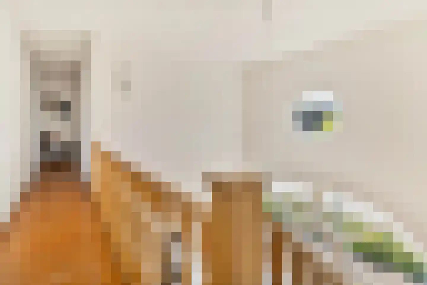 Hegge 138 Schinnen thumbnail 12