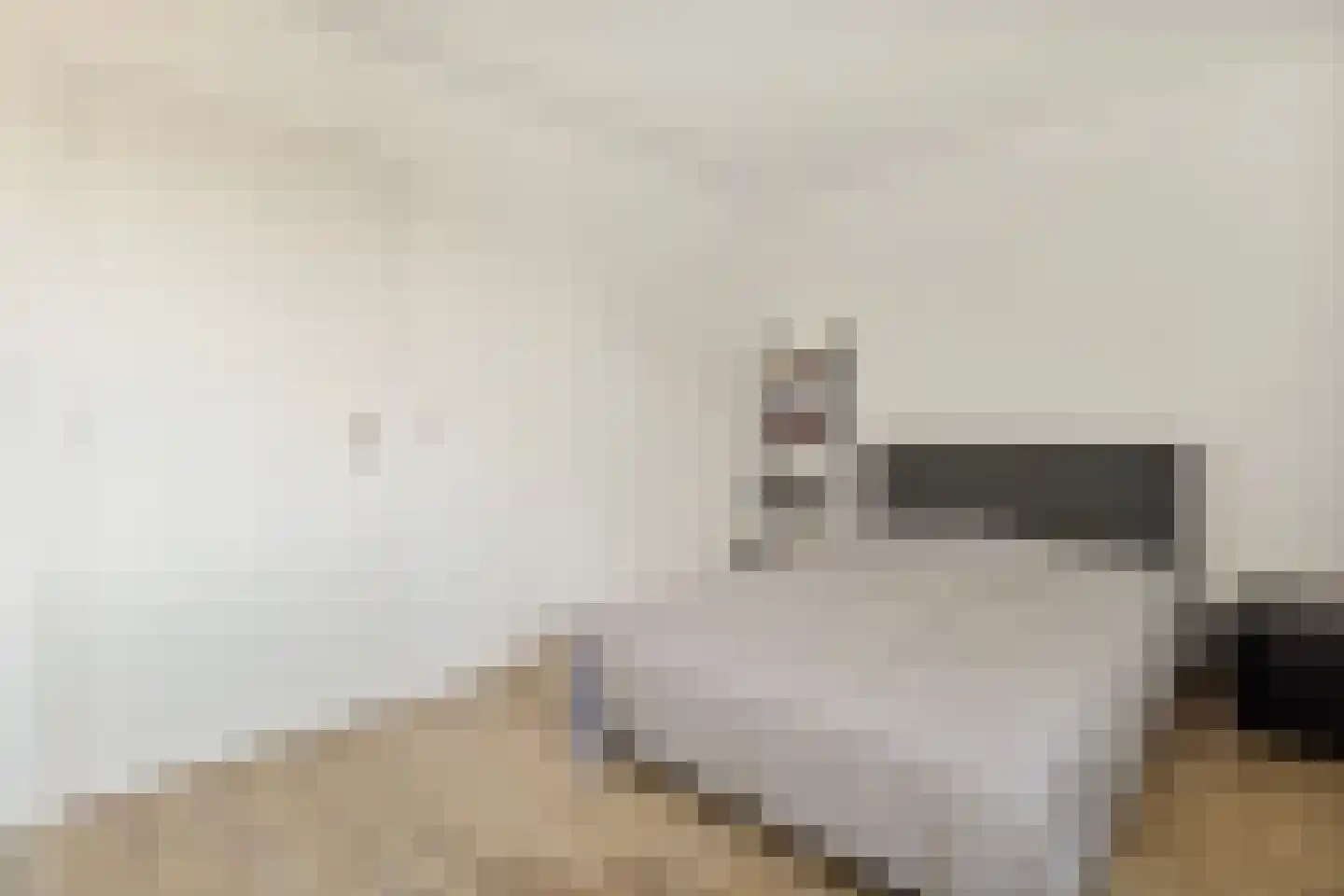 Hegge 138 Schinnen thumbnail 20