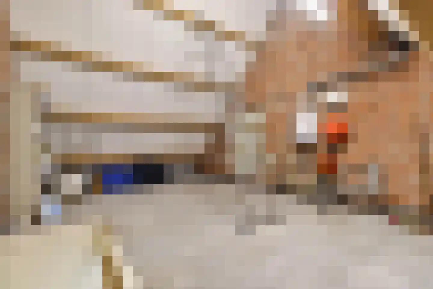 Hegge 138 Schinnen thumbnail 29