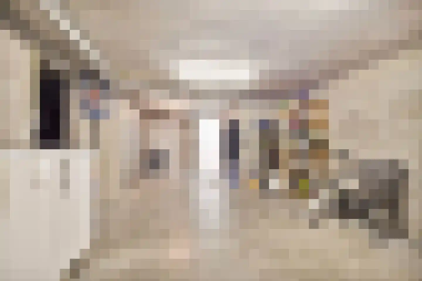 Hegge 138 Schinnen thumbnail 32