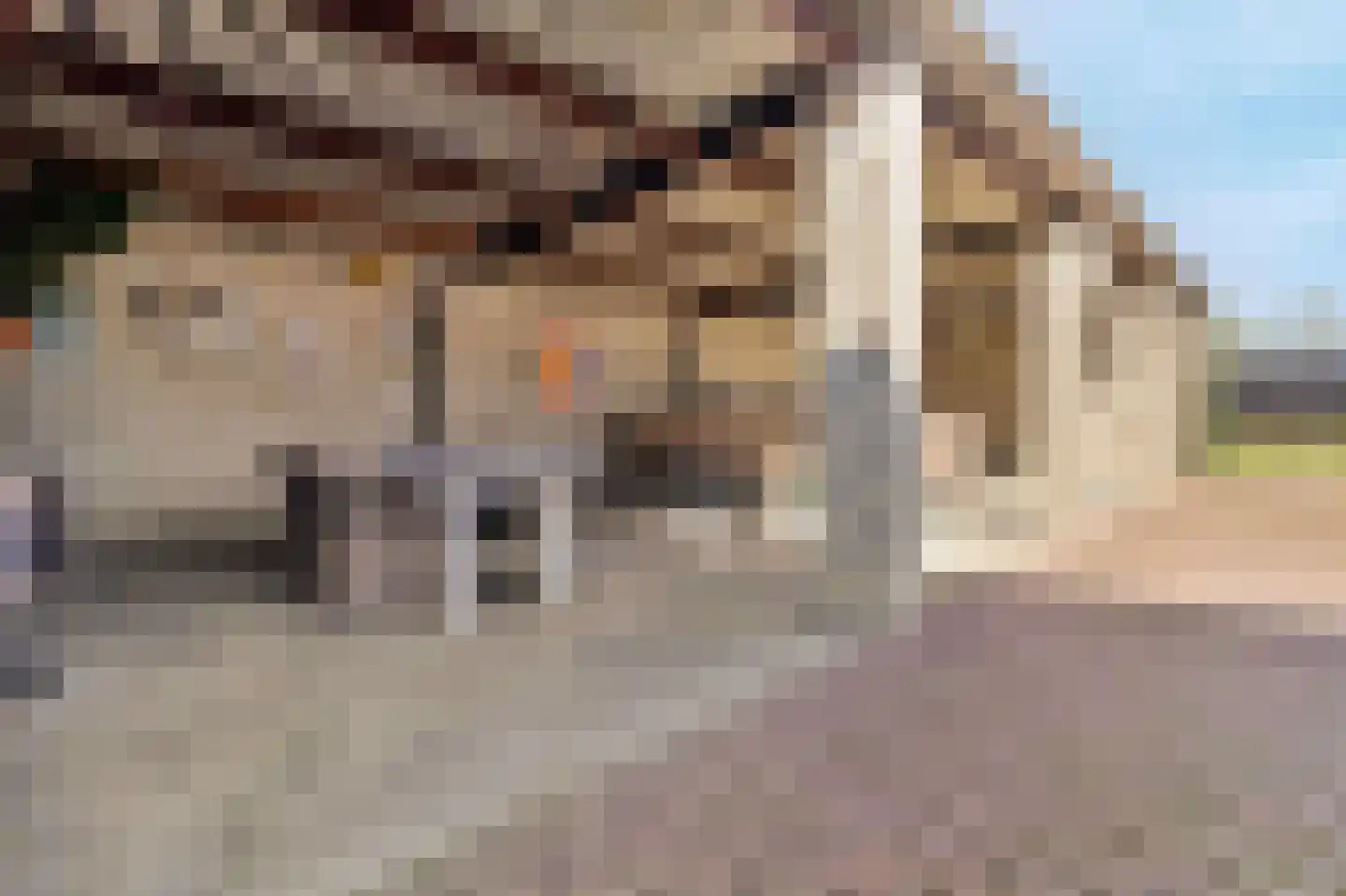 Hegge 138 Schinnen thumbnail 36