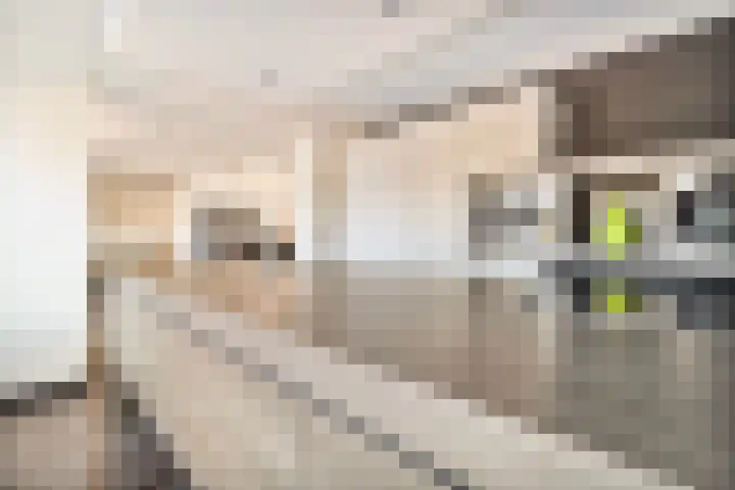 Hegge 138 Schinnen thumbnail 9