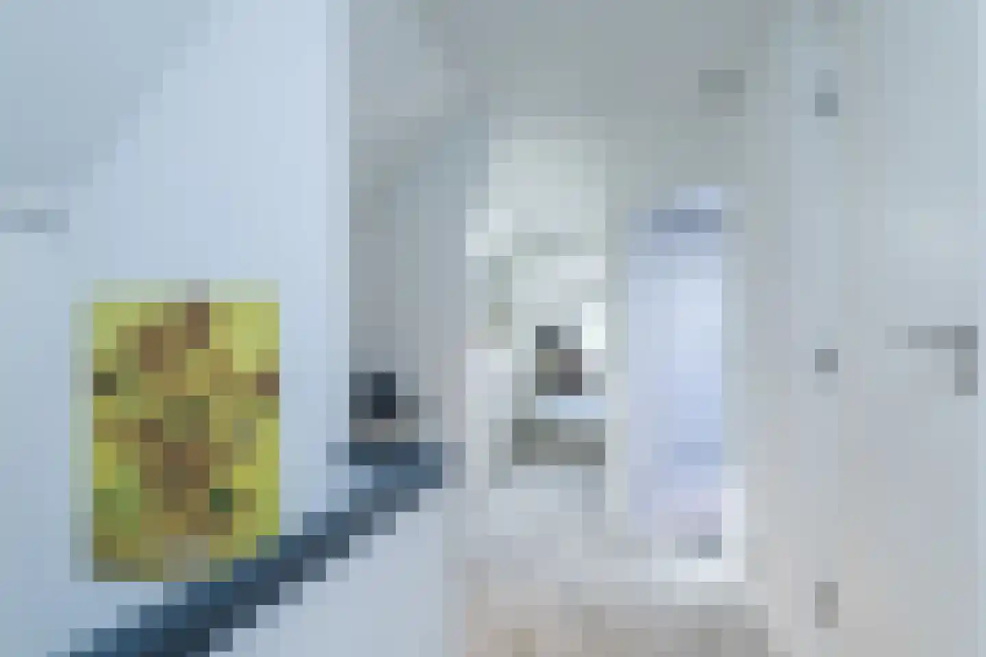 Hegge 146 A Schinnen thumbnail 18