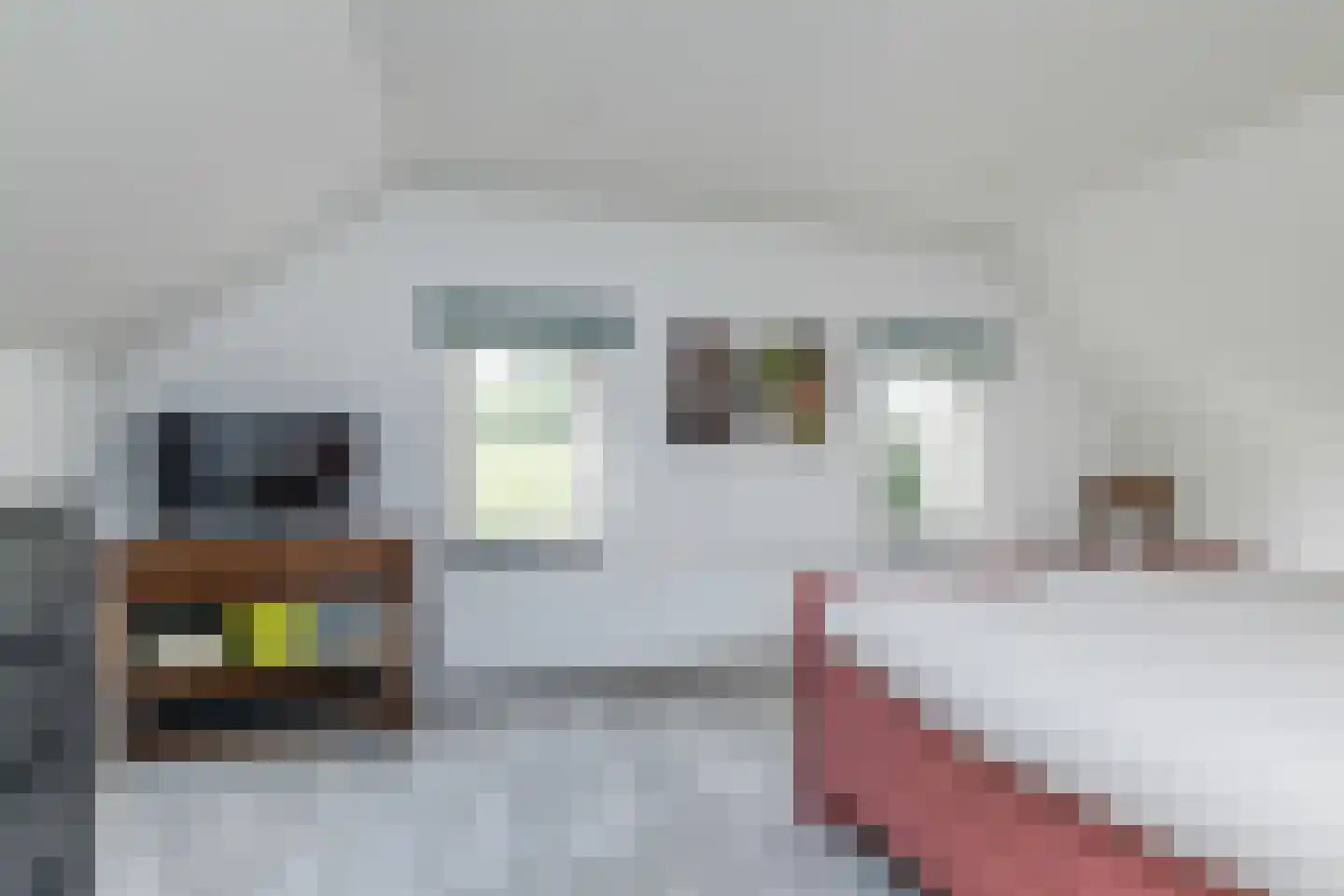 Hegge 146 A Schinnen thumbnail 19