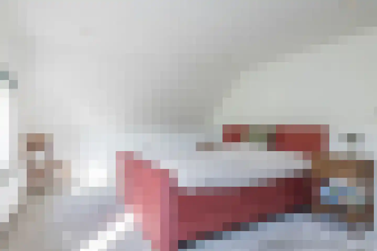 Hegge 146 A Schinnen thumbnail 21
