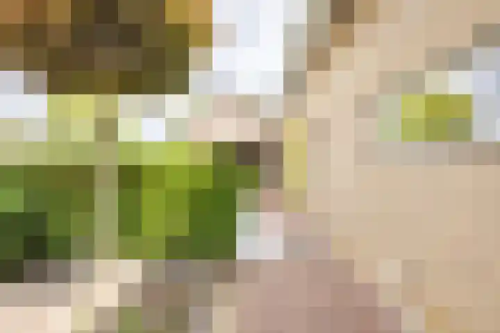Hegge 146 A Schinnen thumbnail 31