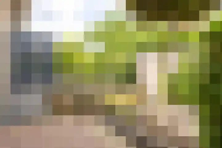 Hegge 146 A Schinnen thumbnail 32