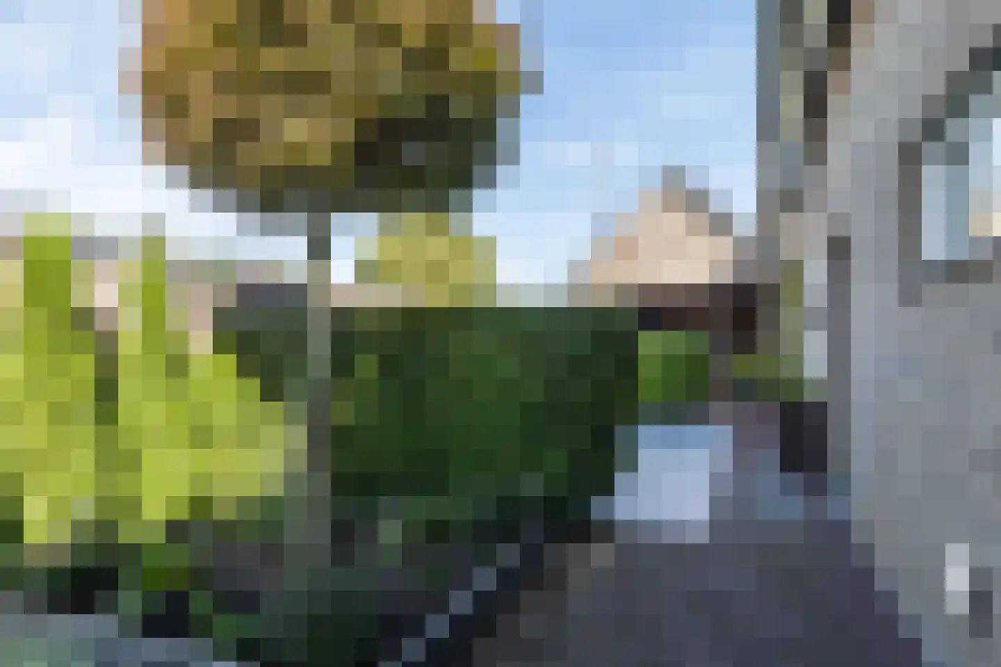 Hegge 146 A Schinnen thumbnail 32