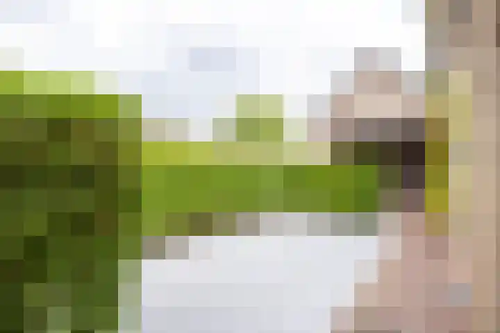 Hegge 146 A Schinnen thumbnail 33