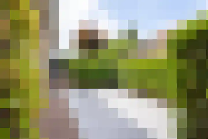 Hegge 146 A Schinnen thumbnail 34