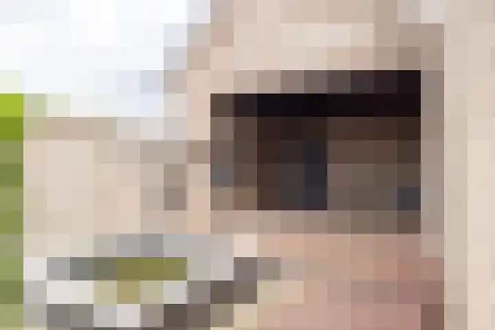 Hegge 146 A Schinnen thumbnail 35