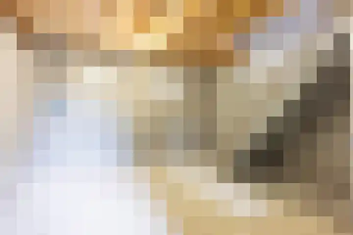 Hegge 146 A Schinnen thumbnail 38