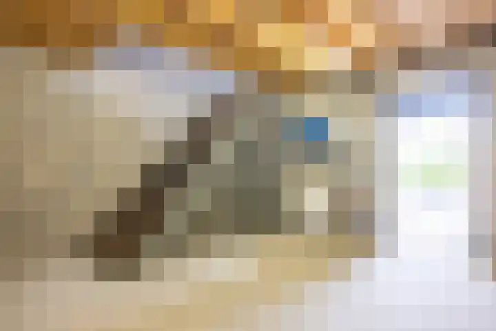 Hegge 146 A Schinnen thumbnail 39