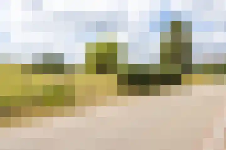 Hegge 146 A Schinnen thumbnail 4