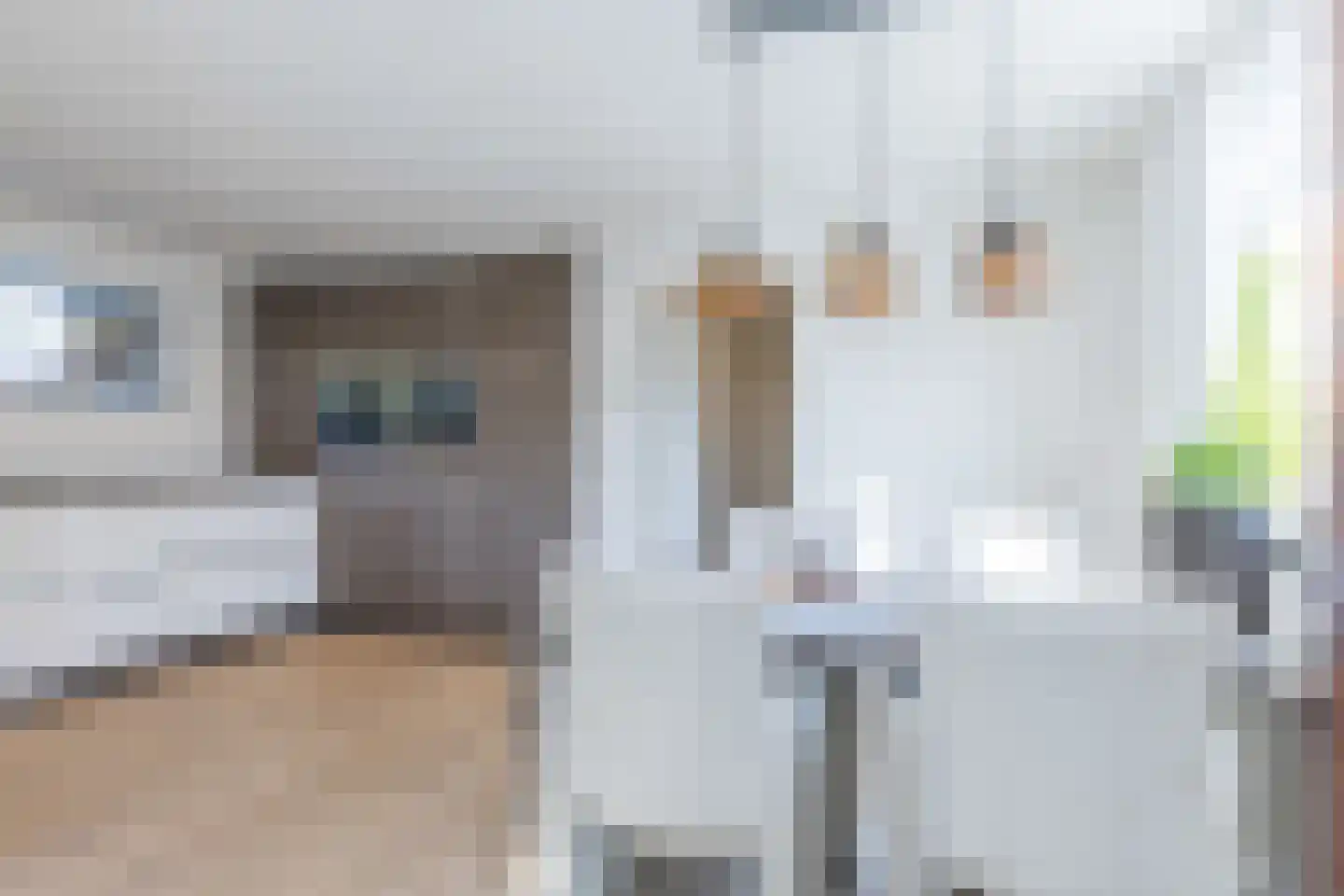 Hegge 146 A Schinnen thumbnail 4