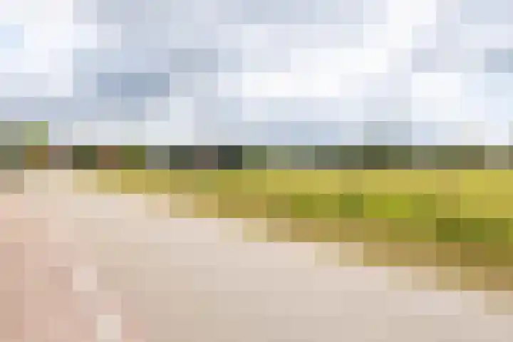 Hegge 146 A Schinnen thumbnail 5