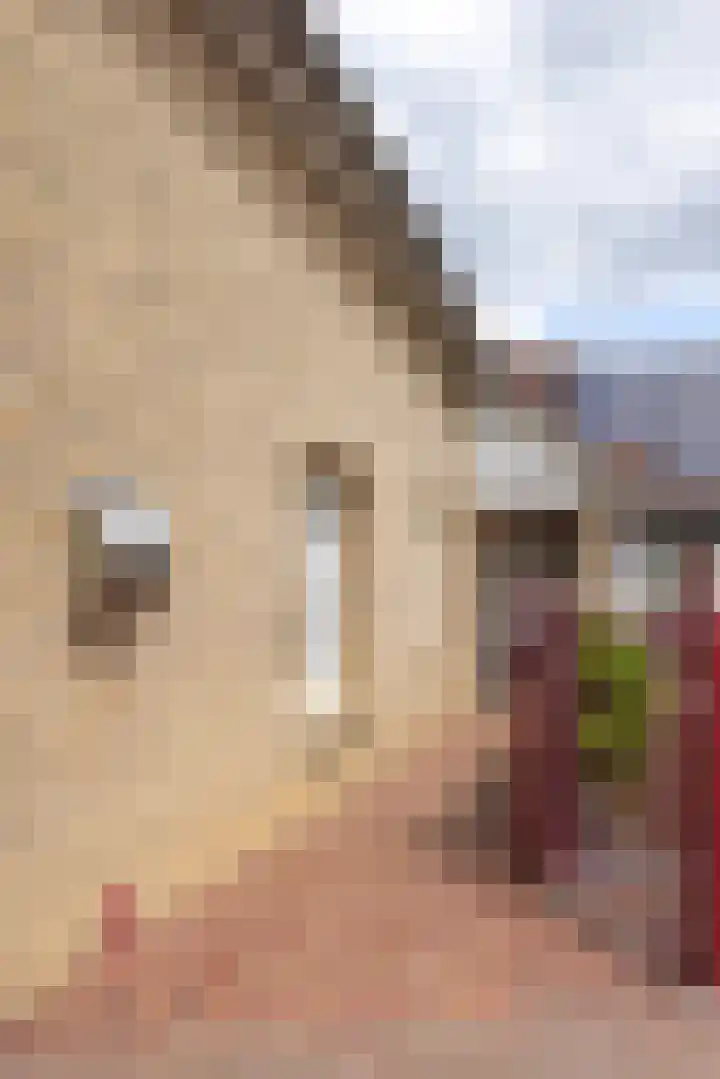 Hegge 146 A Schinnen thumbnail 6