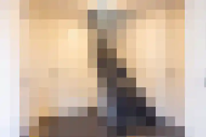 Hegge 146 A Schinnen thumbnail 9