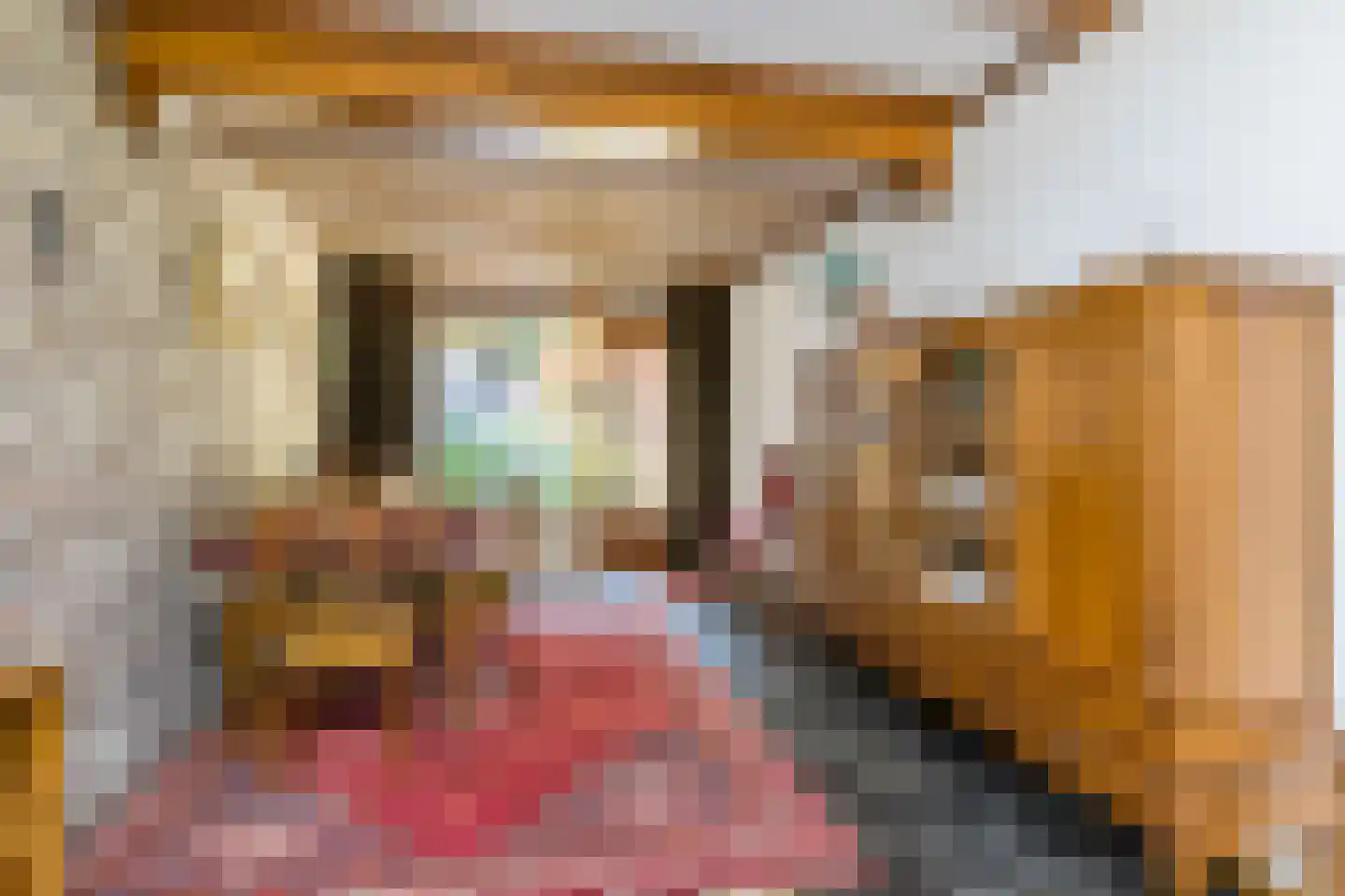 Hegge 17 Schinnen thumbnail 10