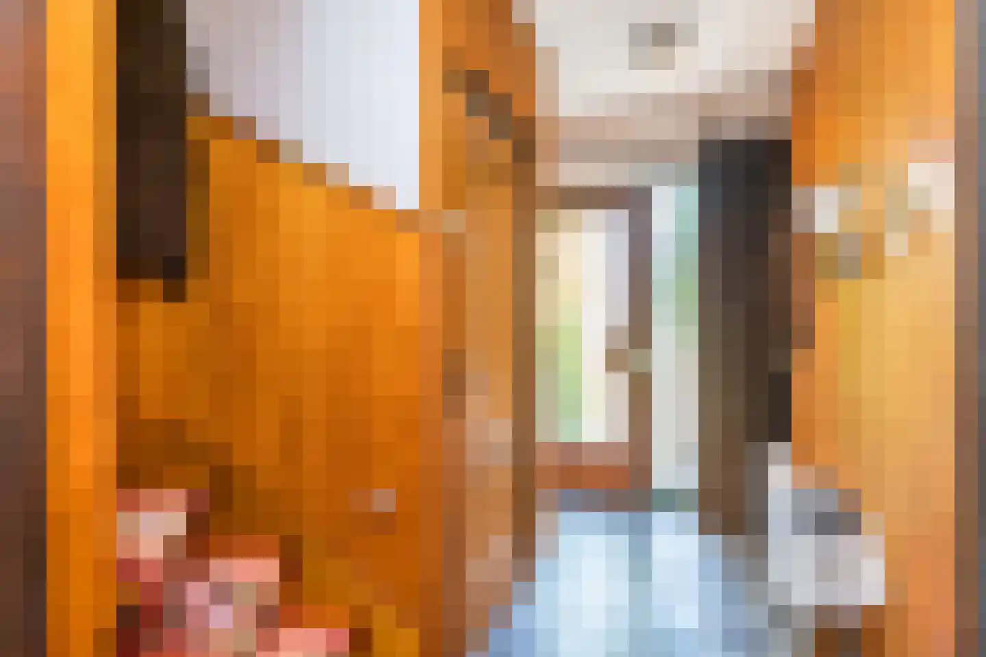 Hegge 17 Schinnen thumbnail 17