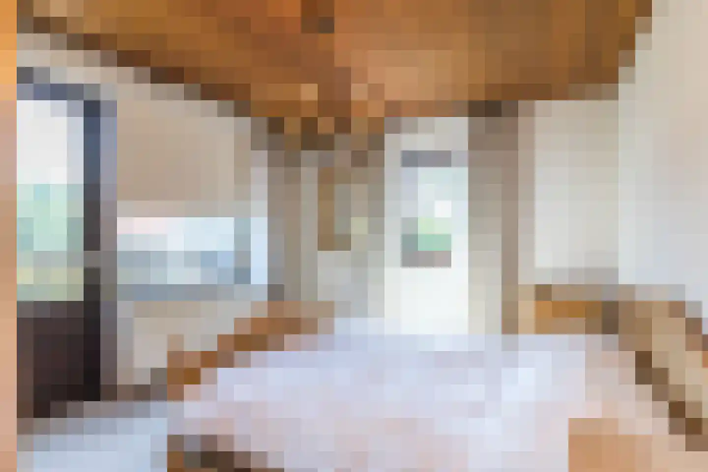 Hegge 17 Schinnen thumbnail 21