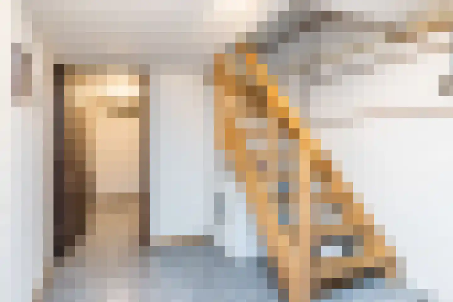 Hegge 17 Schinnen thumbnail 28