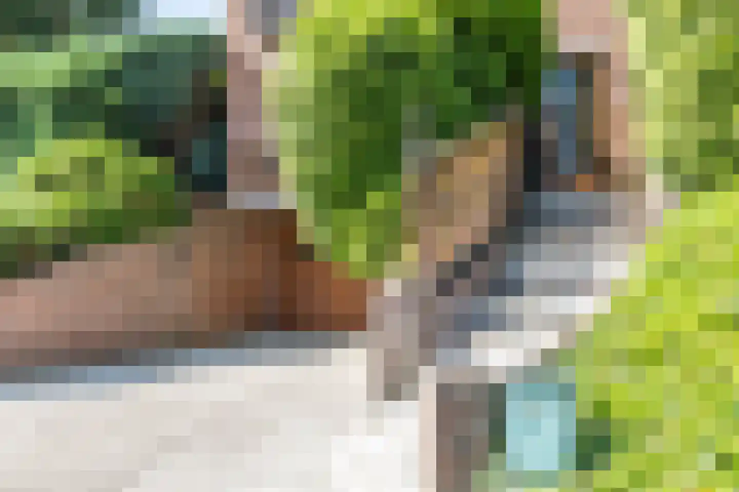Hegge 17 Schinnen thumbnail 30