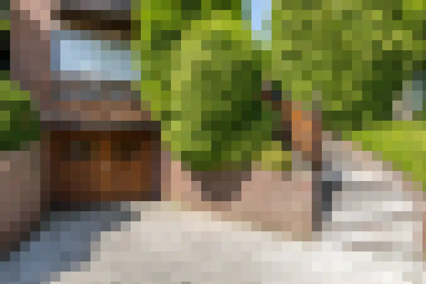 Hegge 17 Schinnen thumbnail 31
