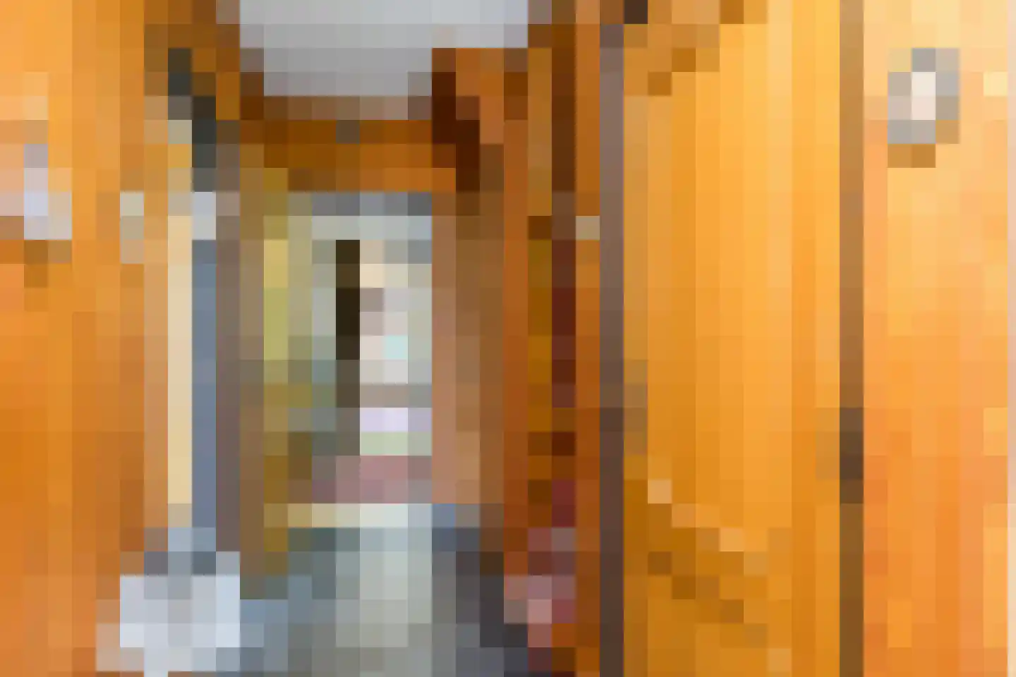 Hegge 17 Schinnen thumbnail 4