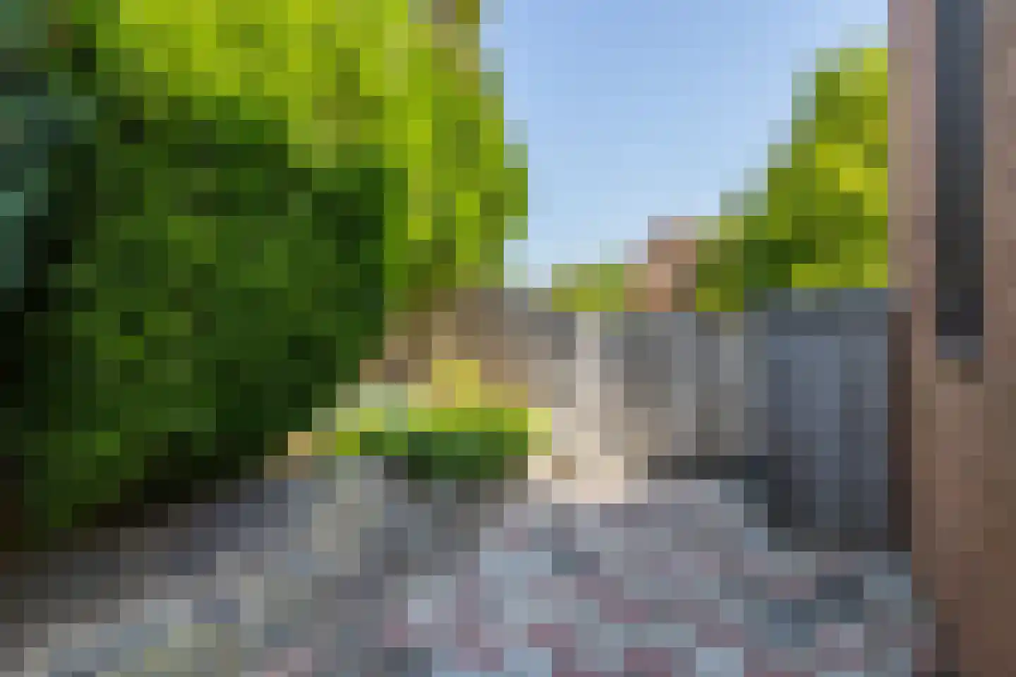 Hegge 17 Schinnen thumbnail 40